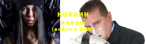 не бодяженный Гусев